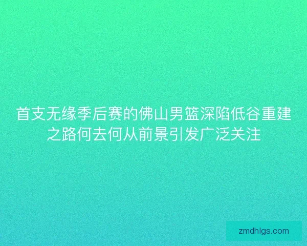 首支无缘季后赛的佛山男篮深陷低谷重建之路何去何从前景引发广泛关注