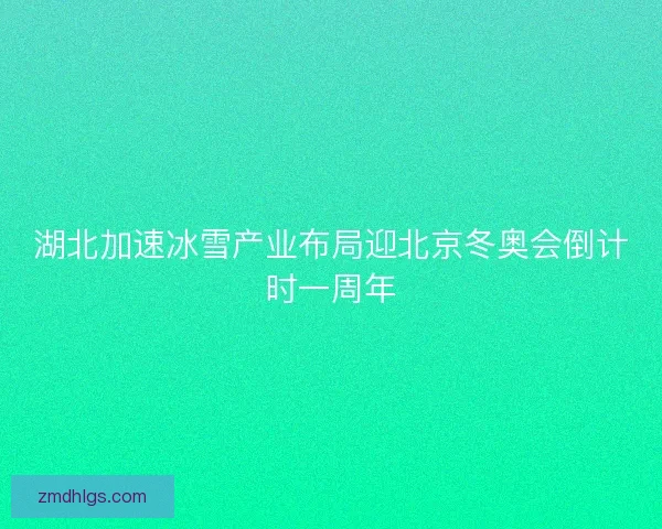 湖北加速冰雪产业布局迎北京冬奥会倒计时一周年